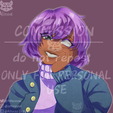 Facebook Commission.